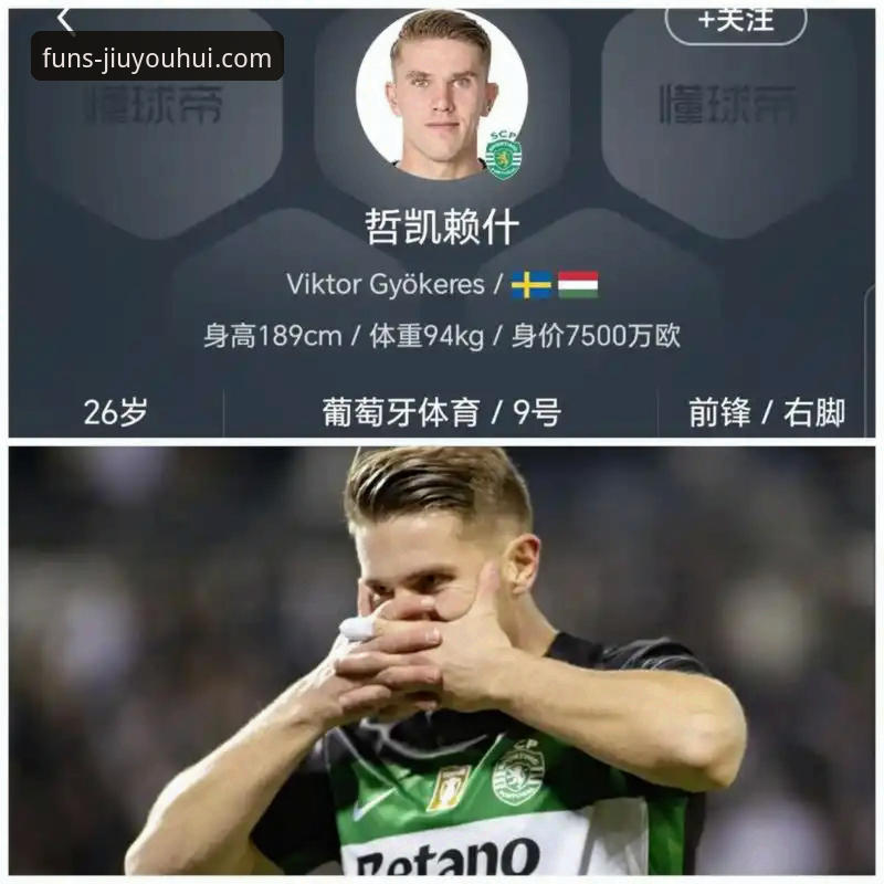 哲凯赖什20球爆发！j9九游会平台观赛完整指南，助你掌握英超射手新星